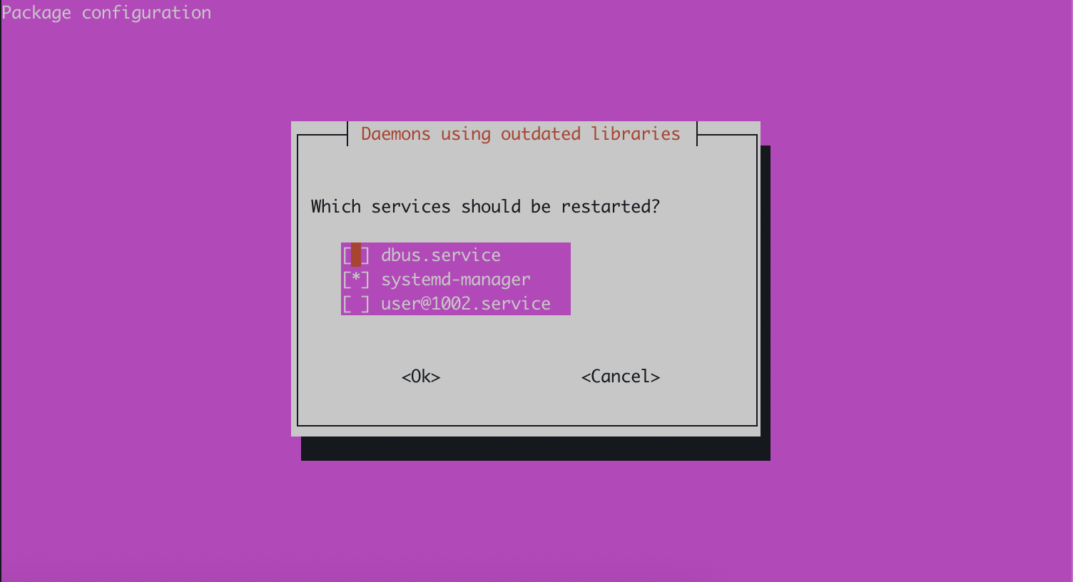 Daemons using outdated libraries prompt