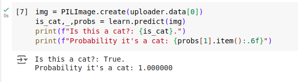 Inference of cat image