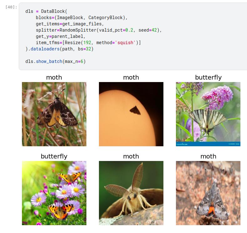 Dotablock butterfly and moth images
