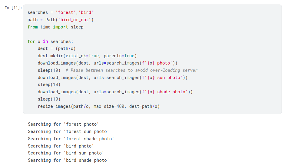 Download bird and forest