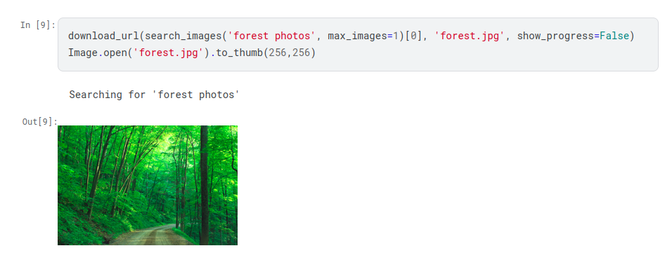 Search and download the forest image