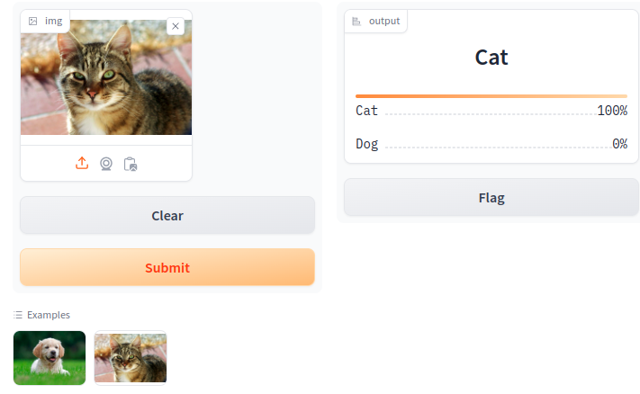 Successful gradio image test of cat